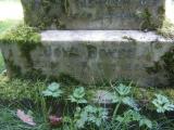 image of grave number 268250